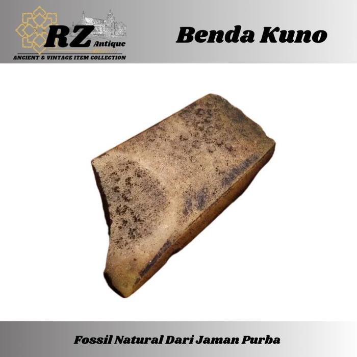 RZ Antique-Kapak Batu Neolitikum