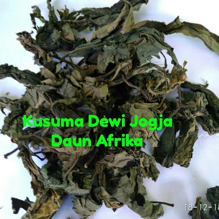Afrika Daun/Yoruba/Nan Fei Shu 250 Gram