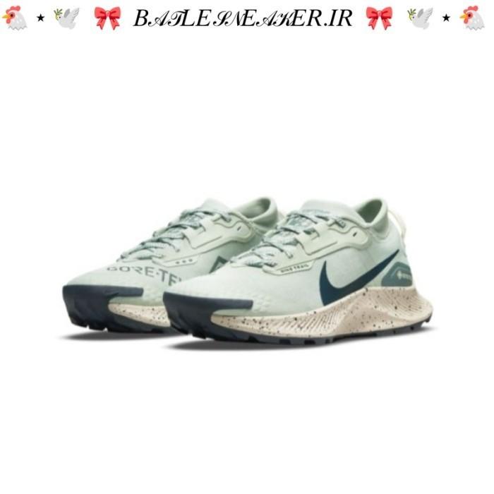 Sepatu Nike Air Zoom Pegasus Trail 3 Gore-Tex Seafoam BNIB