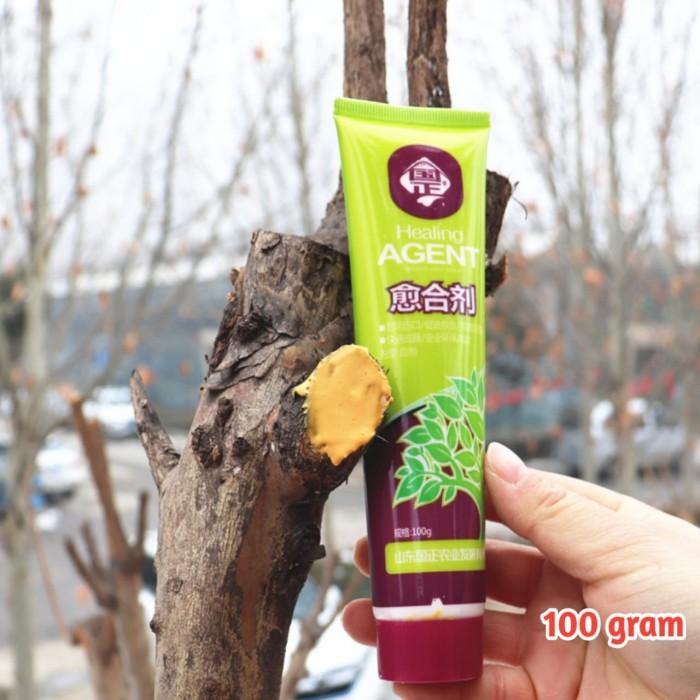 Salep Kambium Import Healing Agent 34 Isi 100 Gram