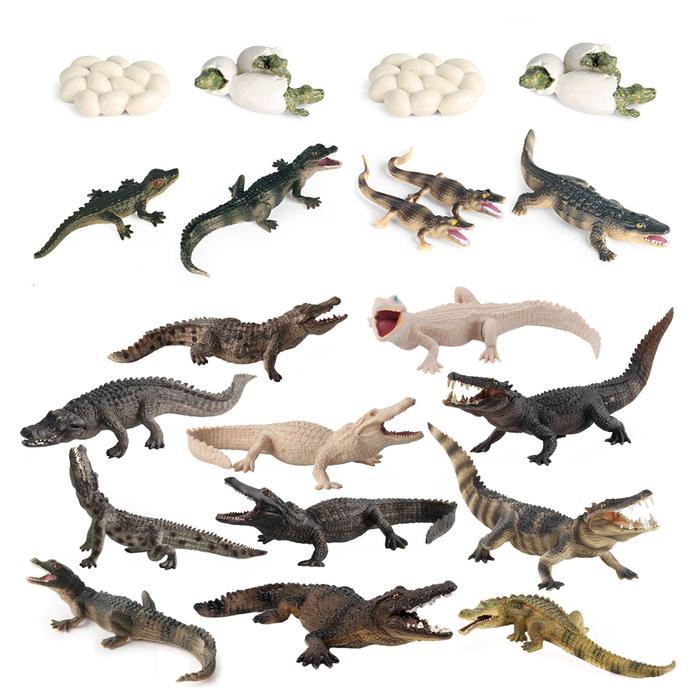 Crocodile Figurines Alligator Models Animal Life Cycle Figures Set Reptile Action Figure Toy Animals