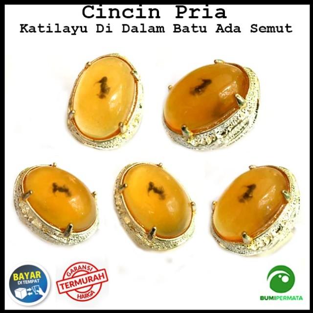 Cincin Batu Akik Getah Katilayu Ada Semutnya