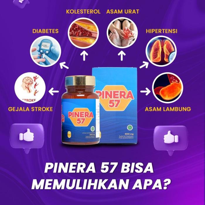 Pinera57 100% Original Pinera 57 Pinera Pinus Merah Herbal kolesterol