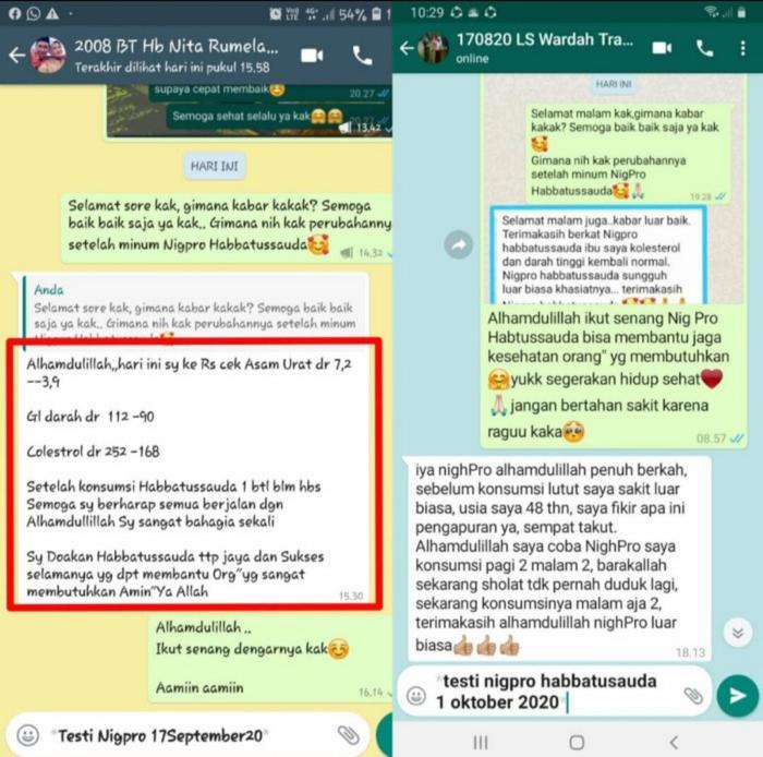 NigPRO Habbatussauda Oil Extra Propolis Trigona - Obat Asam Urat Darah Tinggi Diabetes 100 Capsule