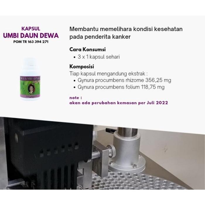 UMBI DAUN DEWA Kapsul SAMSIT Herbal Obat Jamu Mengobati Kanker Myoma Kista Miom isi 90 Kapsul