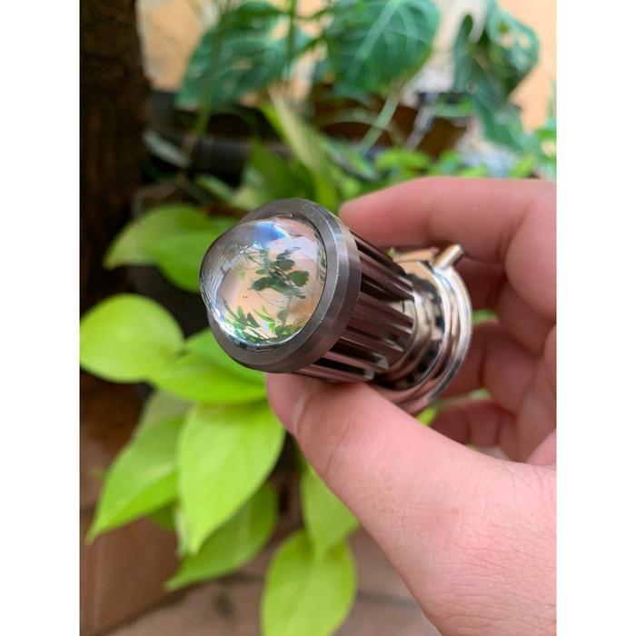 Cuci Gudang Lampu Depan Led Laser Gun Soket H4 AC/DC 2 Warna Universal Scoopy Vixion KLX Verza CRF C