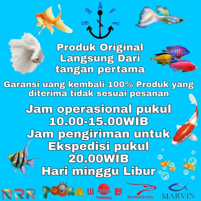 Pompa Udara Aerator Aquarium Yamano AP 08