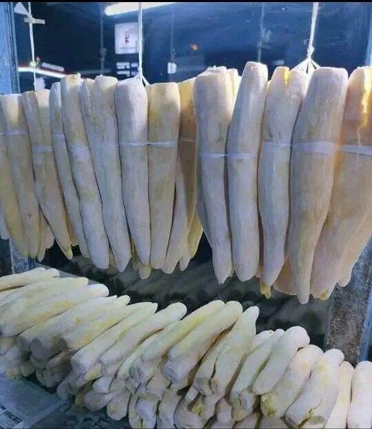 kemsn 3kg tape singkong orginal empuk manis