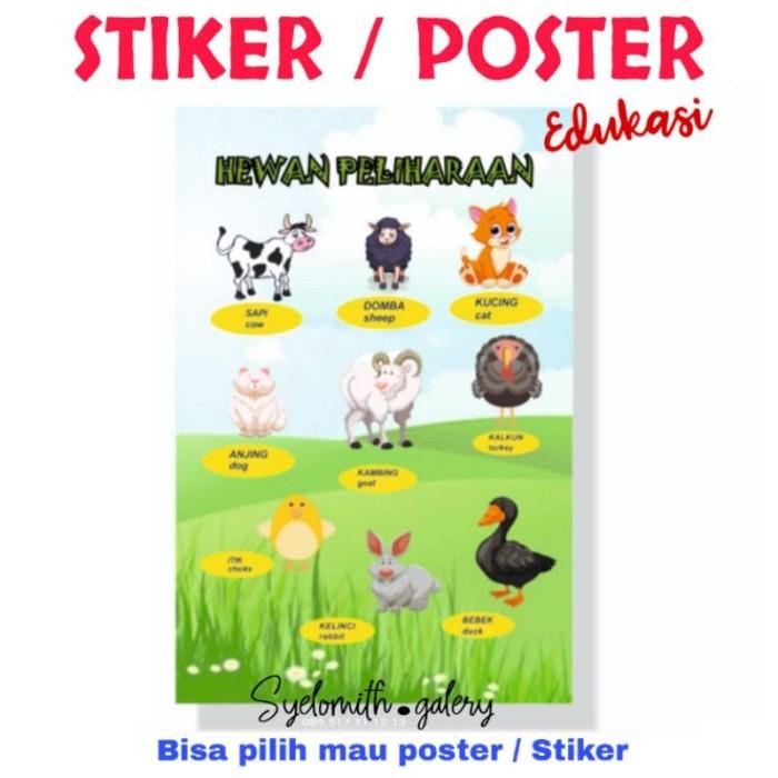 UZ202 POSTER BELAJAR MENGENAL HEWAN PELIHARAAN STIKER MENGENAL HEWAN P