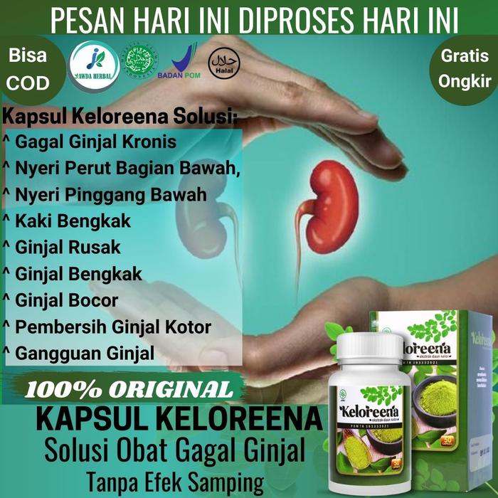 Kapsul Herbal Gagal Ginjal dan Gangguan Ginjal - Obat Nyeri Perut Bagian Bawah, Nyeri Pinggang Bawah
