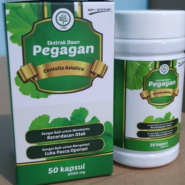 Ekstrak Daun Pegagan Kapsul ASH-SHIHAH Kecerdasan Otak 50 Kapsul Herbal Suplemen otak  Kapsul Daun P