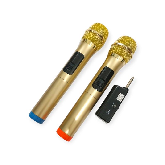 Fleco Microphone wireless M12 Mic Karaoke Double Mikrofon Tanpa Kabel