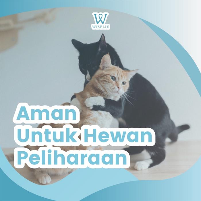 Wiselie Anti Rayap Pembas Rayap Ampuh dengan Formula Penghilang Rayap ektif Menjaga Perabot dan Stru