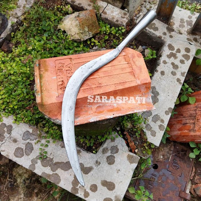BERKUALITAS SABIT MODEL CELURITAN - SABIT PEMOTONG RUMPUT PADI PEMOTONG RANTING KAYU SEMAK SEMAK BLU