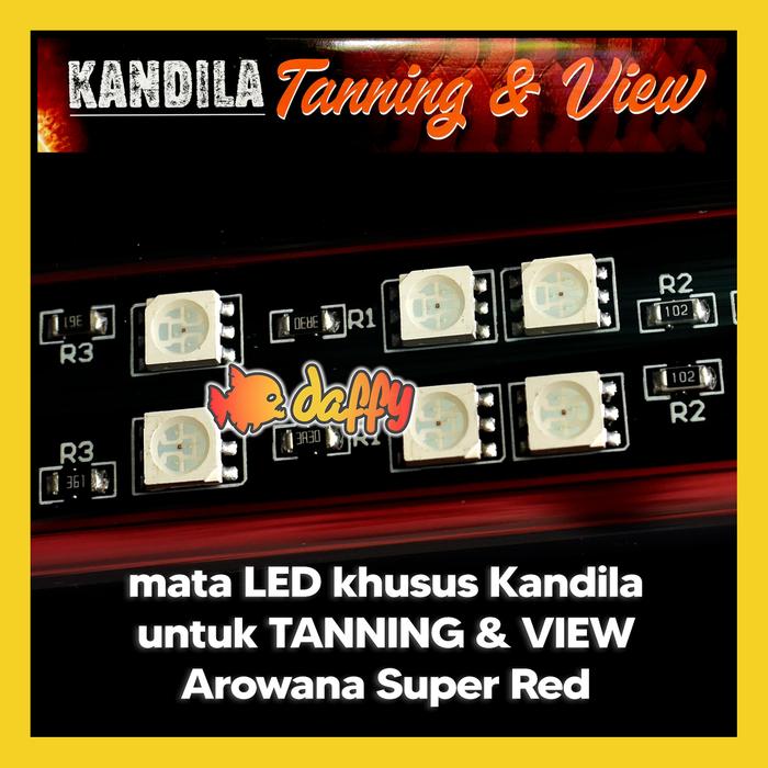 Kandila Pro Red TANNING and VIEW All Varian Size lampu view tanning arowana