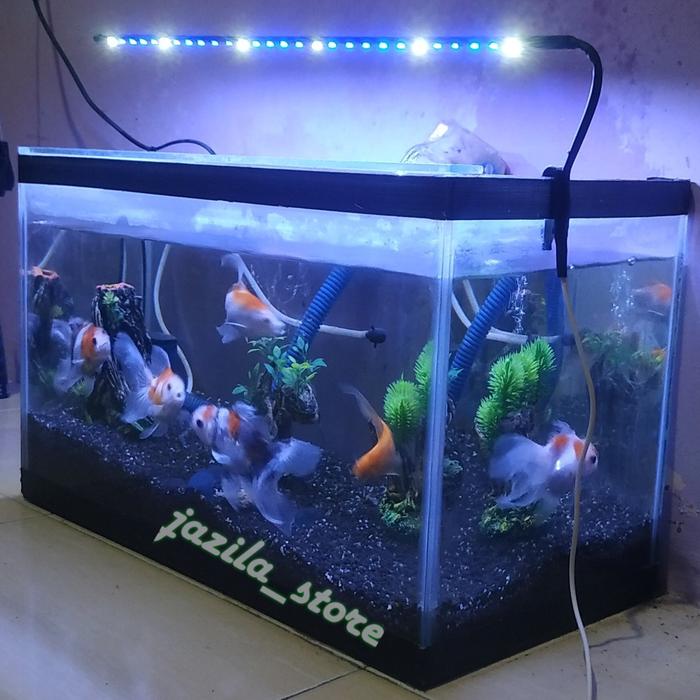 Lampu aquarium LED smd biru putih 50cm lampu aquascape lampu ikan hias Lampu jepit Kabel USB