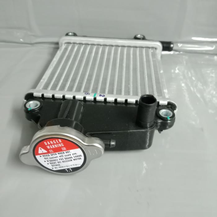 RADIATOR VARIO 110 KARBU KVB