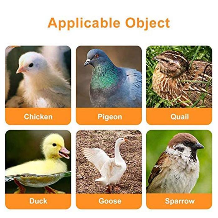PALING MURAH 6pcs Mangkuk Minum Nipple Otomatis Ayam Nipel Neppel Puyuh Penyiraman Ayam Cangkir Minu