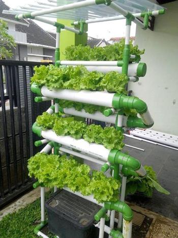 Paket Berkebun 25 Jenis Benih Sayuran Bonus Pupuk Polibag Benih dan Lembar cara Taman