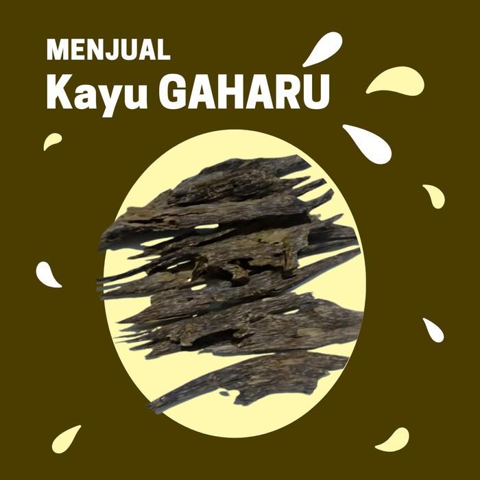 Ready Gan Kayu Gaharu Alam Sumatera - Jambi Grade Aa (Super) 10 Gram Ready Gan