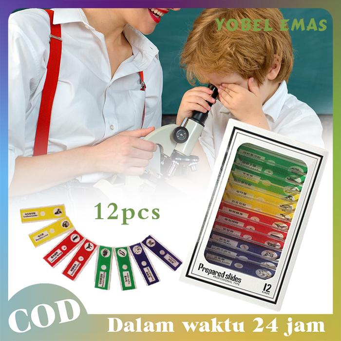 12pcs / Set Specimen Slides Preparat Mikroskop Portable Slides Preparat Biologi Slide Mikroskop Spes