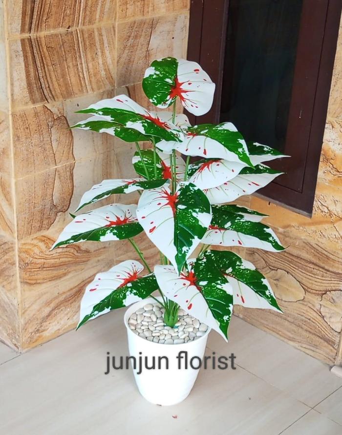 tanaman hias plastik keladi variegata vas tawon besar