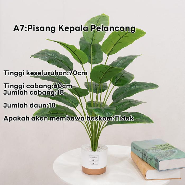 TANAMAN HIAS PALEM KUNING / POHON PALM KUNING  DEKORASI RUMAH MURAH