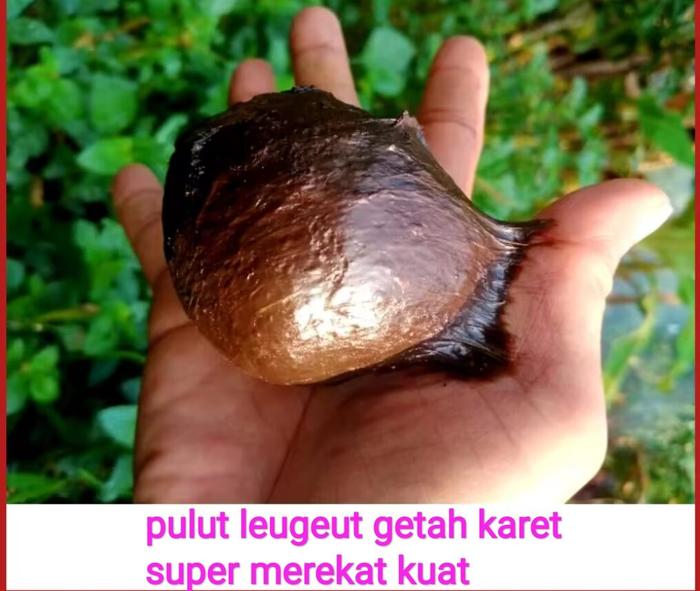 PULUT LEUGEUT GETAH KARET 100GR / PERANGKAP JEBAKAN BURUNG SUPER LENGKET ANTI ZONK / LEM TIKUS / LEM