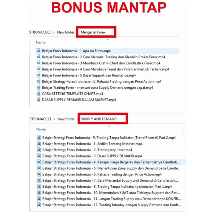 Profit Konsisten hingga 240 Pips Per hari dengan FX COPETER + Indikator Trading Forex