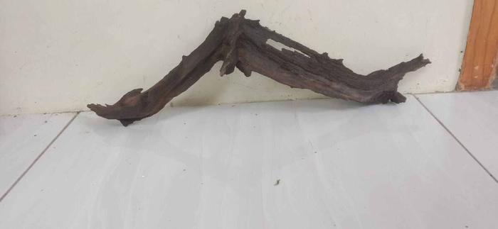 Kayu aquascape/paludarium/dekorasi aquarium/tangkringan reptil panjang 40-50cm