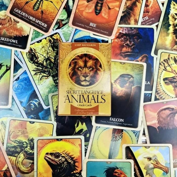 LilChic- Secret Language of Animals Tarot