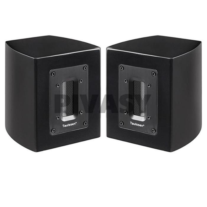 Brand New 60W 6Ohm Fever Independent Ribbon Super Tweeter External Tweeter Passive Speaker Sound Box