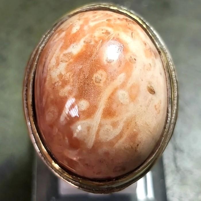 PREMIUM Fosil Kayu Nagasari - Cincin Batu Akik