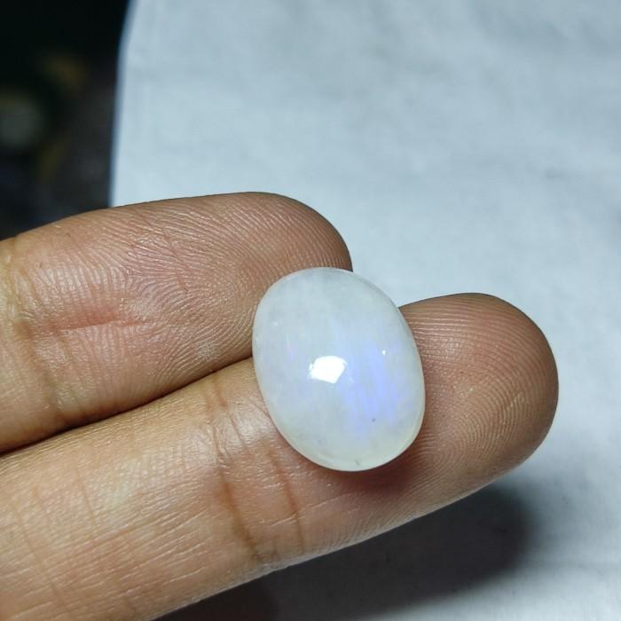 PREMIUM Batu akik biduri laut asli