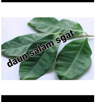 Gaun salam sgar daun bumbu