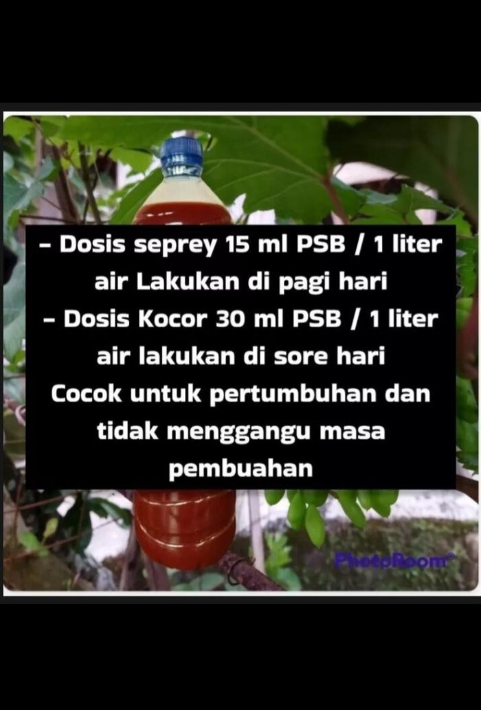 psb bakteri foto sintesis pupuk cair/ biang psb