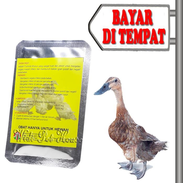 OBAT HEWAN BEBEK ANGSA ENTOK SAKIT LEMAS LESU ANTIBIOTIK SANA PETS