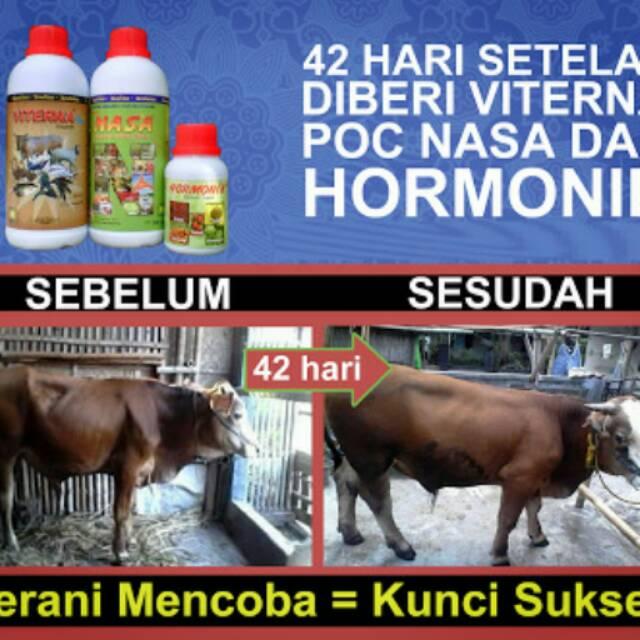 Paket 2 PCS Suplemen Pakan Ternak Viterna Nasa /VITERNA 500 cc/MAKANAN HEWAN /SUPLEMEN HEWAN Supleme