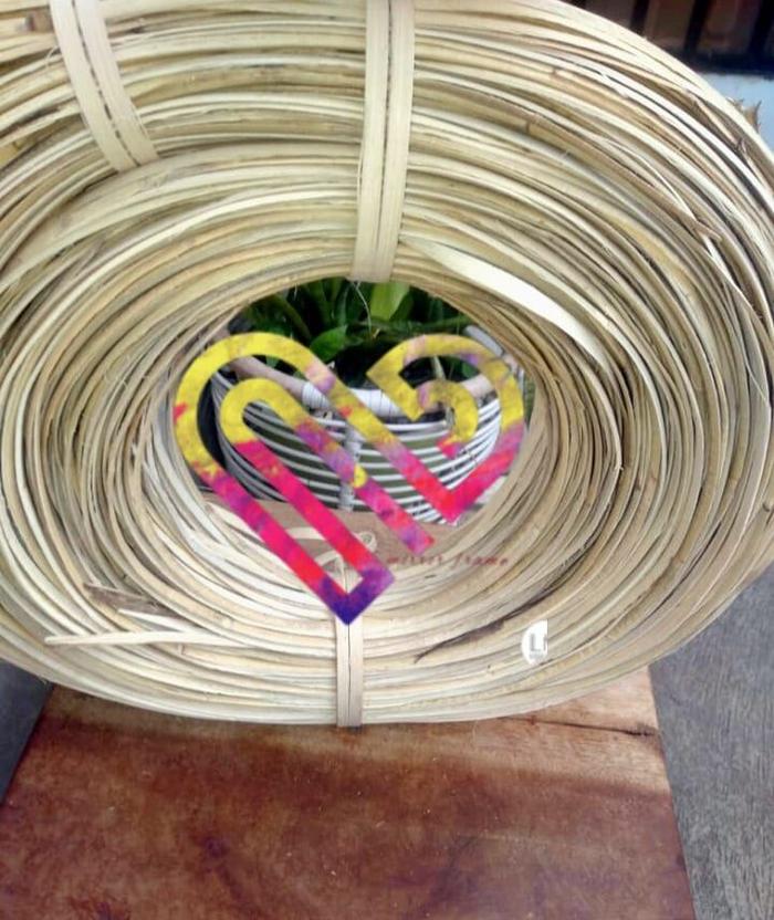 1 gulung lesio rotan kulit bentuk pipih,ikat iratan rotan,tali rotan kulit alami