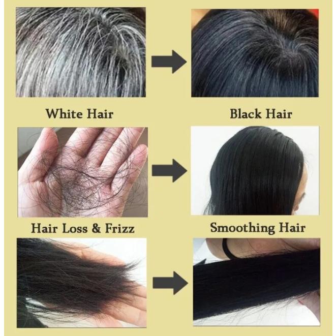 shampoo pewarna HITAM rambut instan hair dye shampoo semir shampo penutup uban Shampoo Penghilang Ub