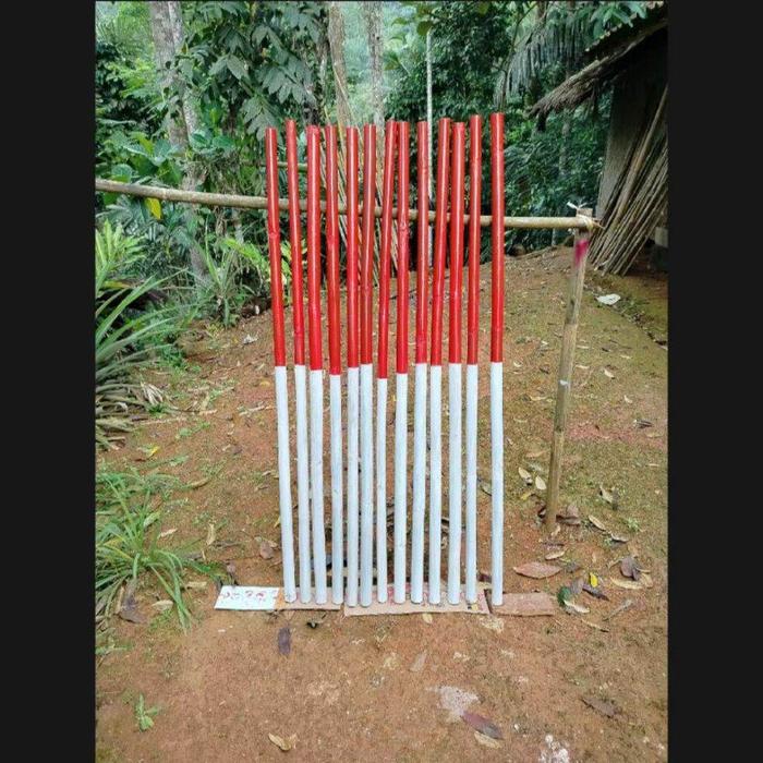 Tongkat Pramuka bahan bambu sudah cat Avian mengkilap 160 cm - beli 10 gratis 1