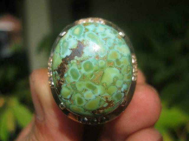 PIRUS PERSIA CEPLOK KURA