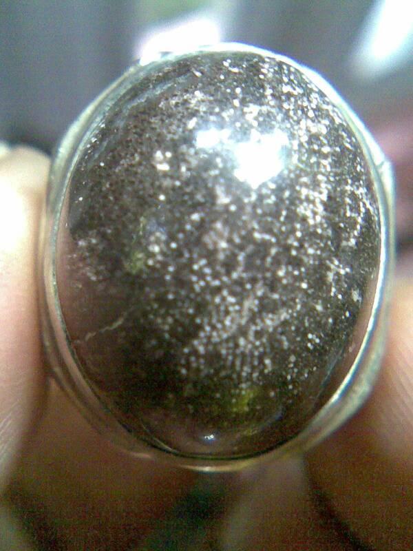 NATURALL AGATE FOSIL KAYU ULIN 02