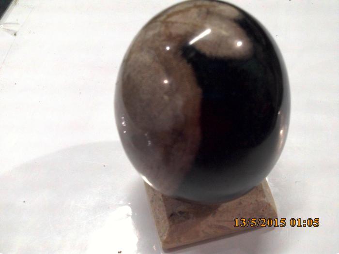 Batu Koleksi FosiL kayu Jati