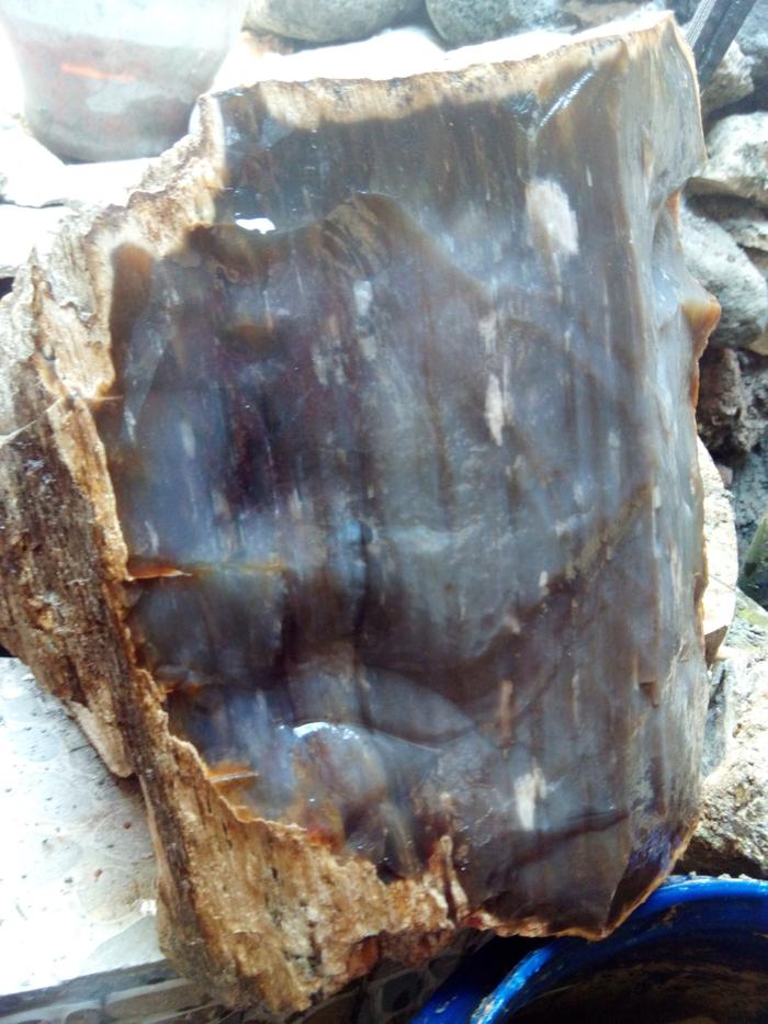 Batu fosil kayu galih kelor kristal ( 1 Kilogram )