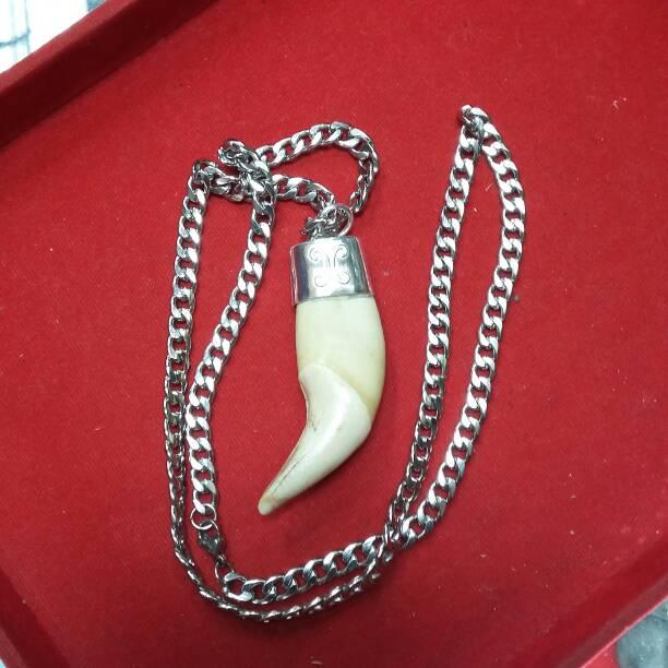 kalung taring beruang