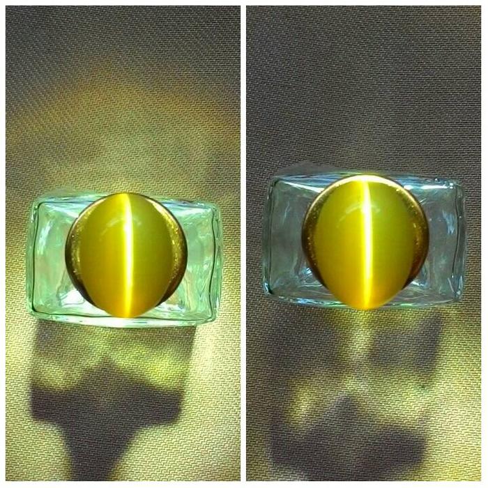 Cat Eye Yellow / Kuning