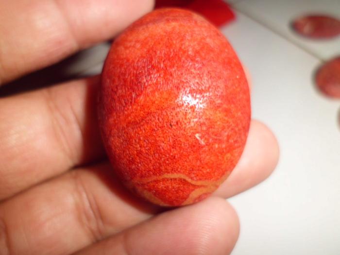 Mata cincin liontin batu MARJAN RED CORAL cutting oval ukuran besar