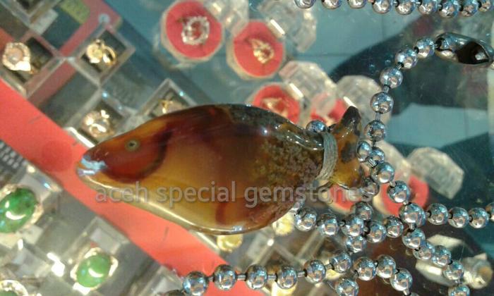 batu suiseki "IKAN PIRANHA" natural from aceh