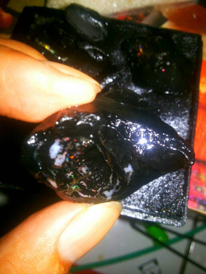 bahan black opal full jarong ruyung